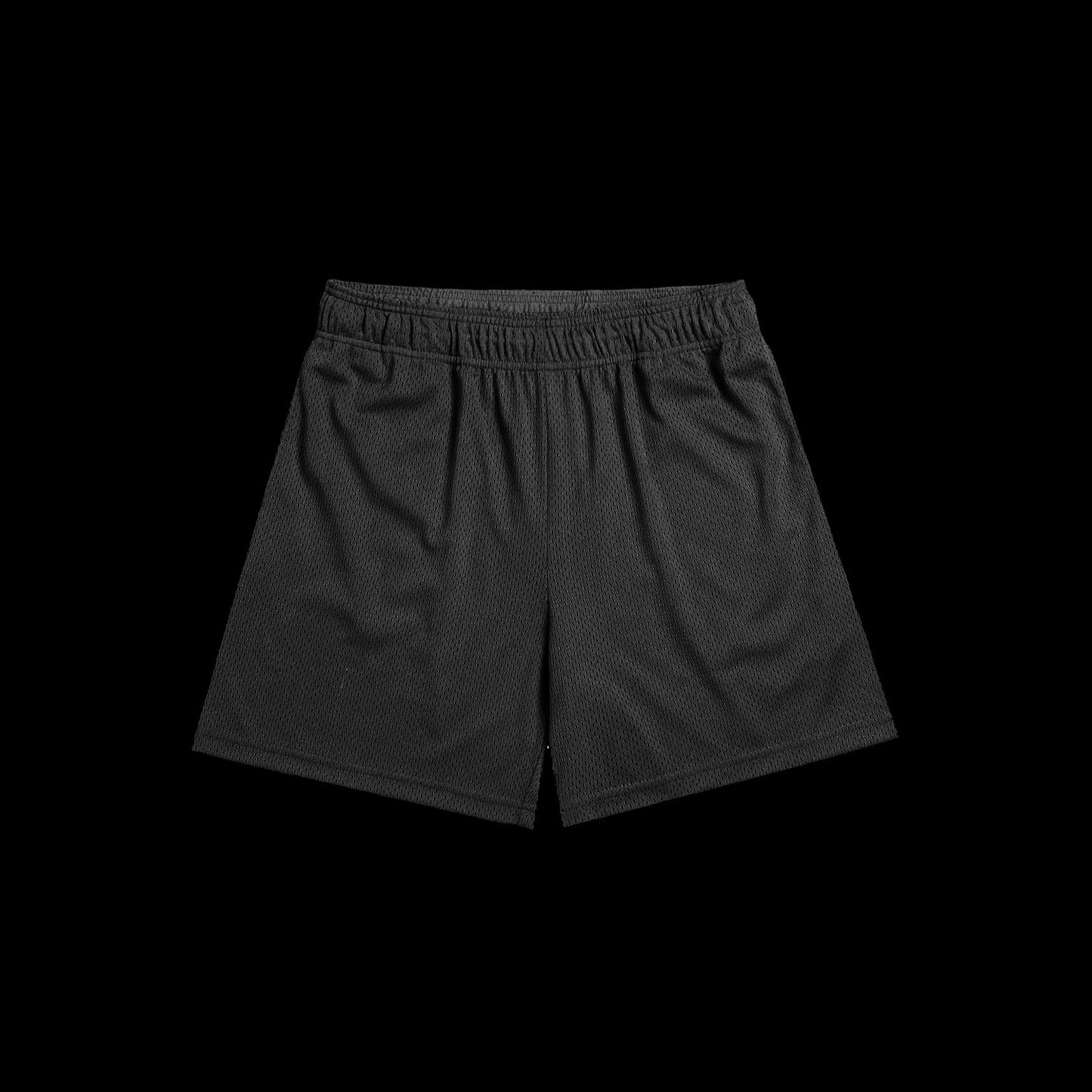STAPLE MESH SHORT (BLK)