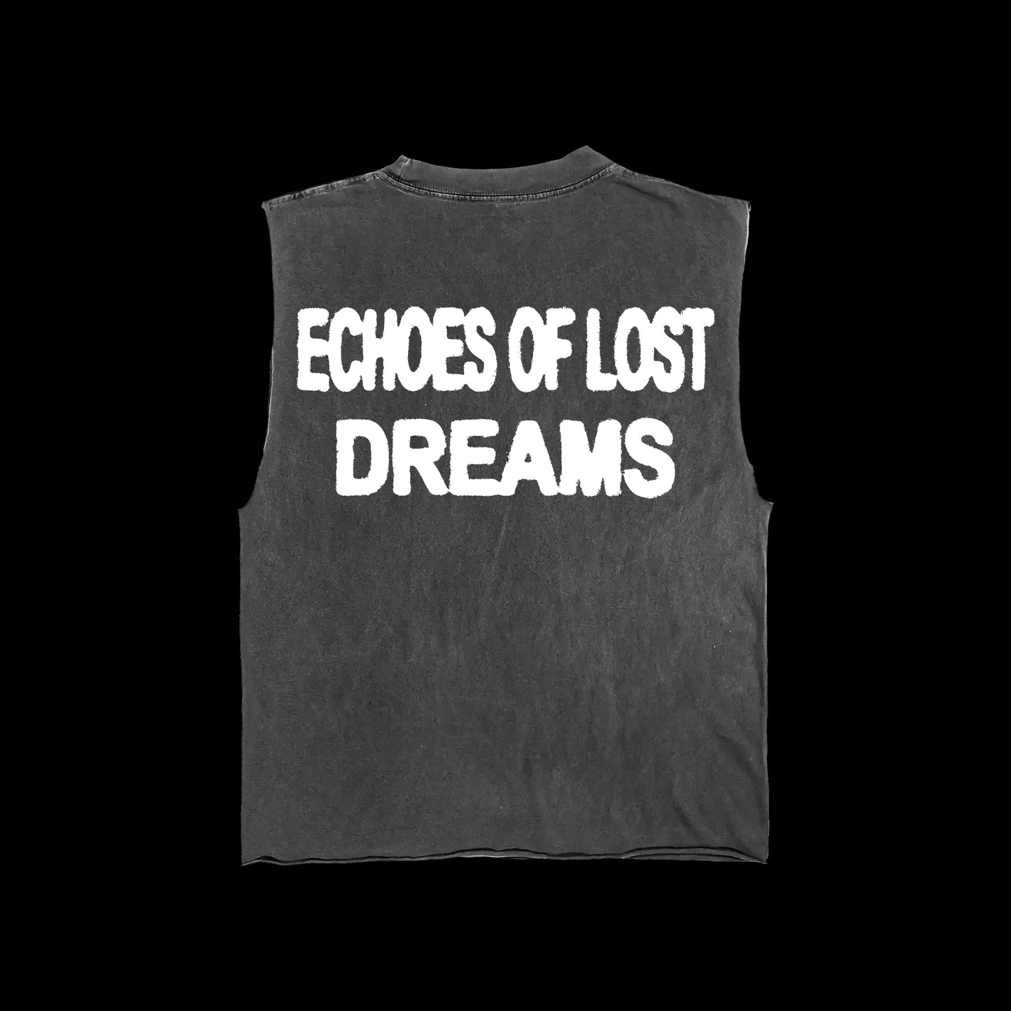 ECHOS OF LOST DREAMS