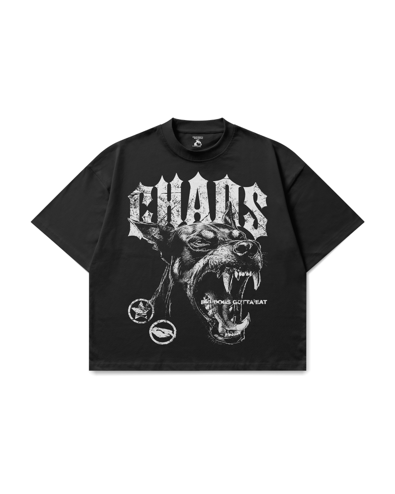 CHAOTIC CHAOS