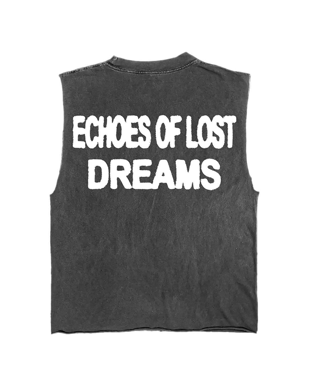 ECHOS OF LOST DREAMS