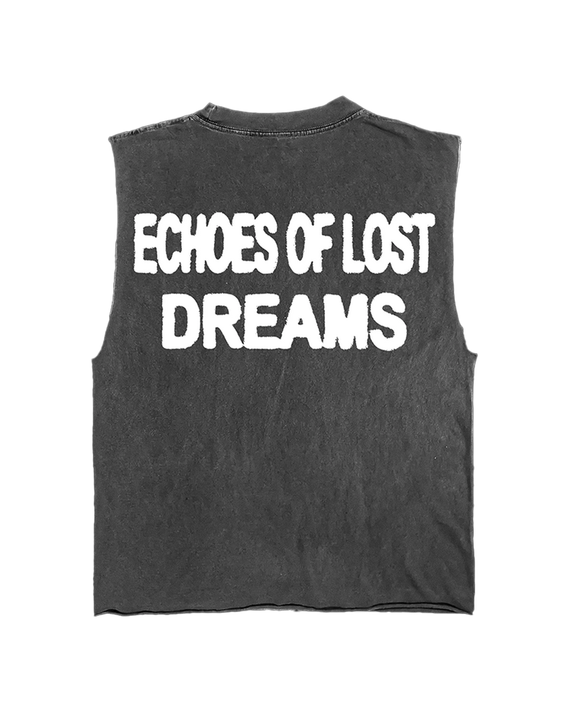 ECHOS OF LOST DREAMS