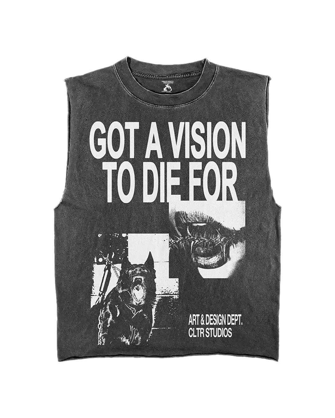 GOT A VISION