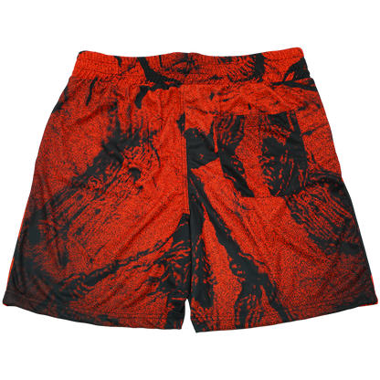 FLAME OF HELL SHORTS