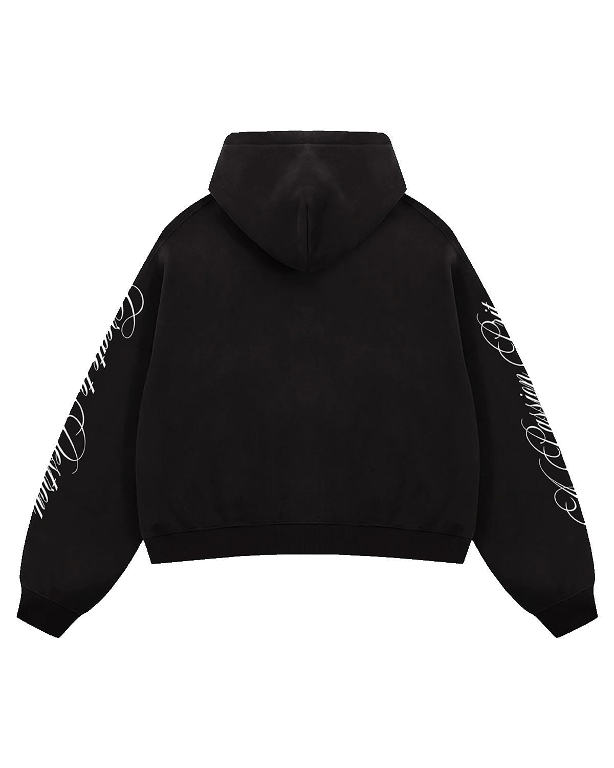 SYNCHRONY (DOUBLE ZIP)